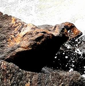 Meet your Posher, Alan